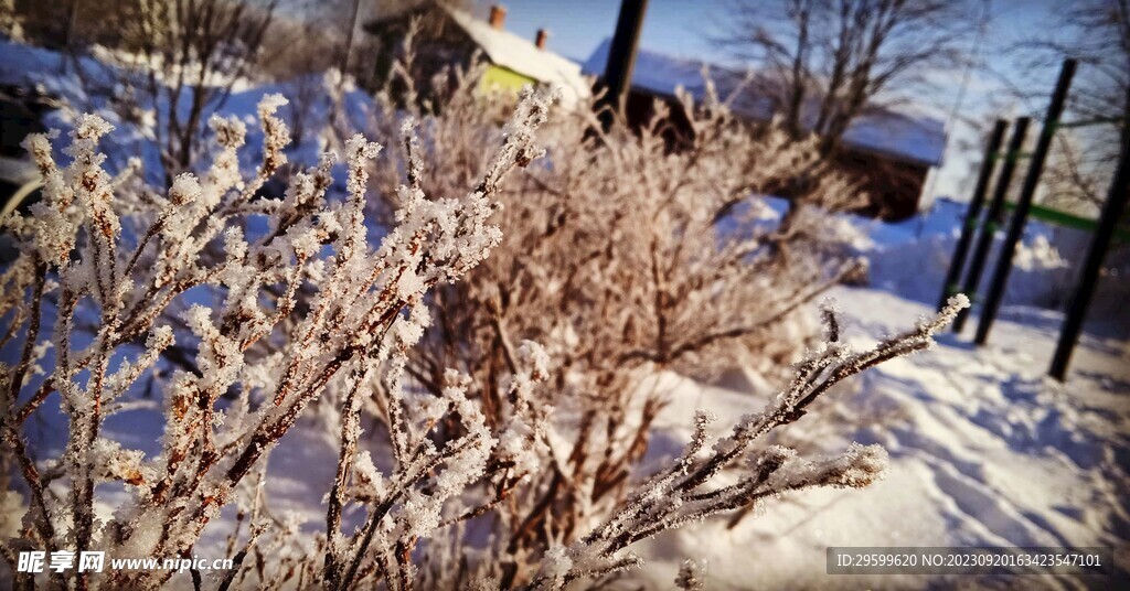 雪景