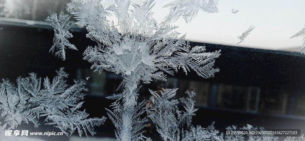 雪花