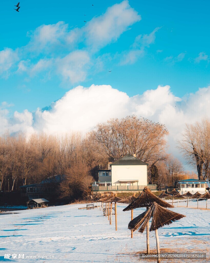 雪景