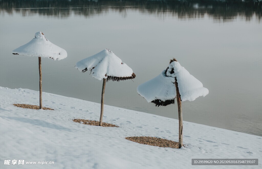 雪景