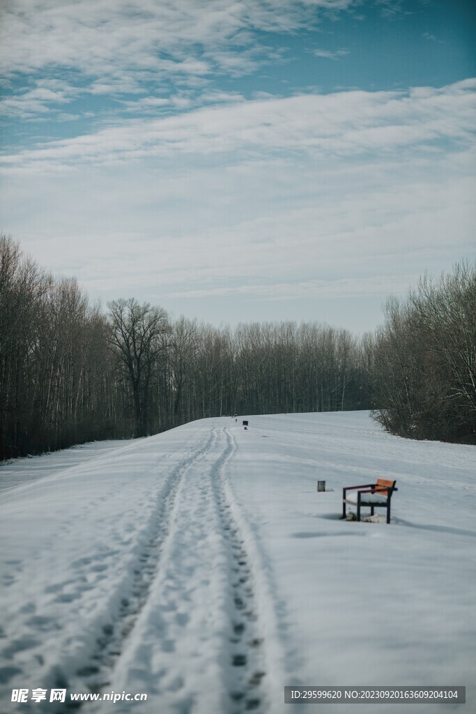 雪景