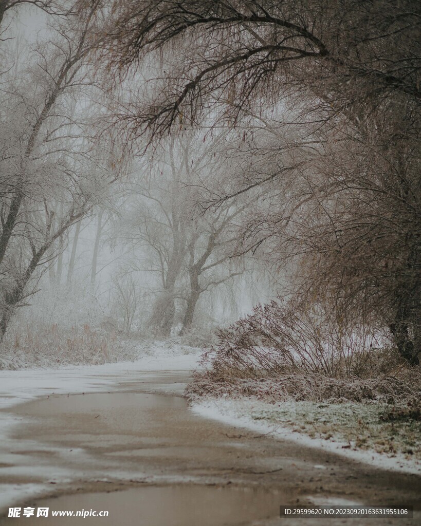 雪景