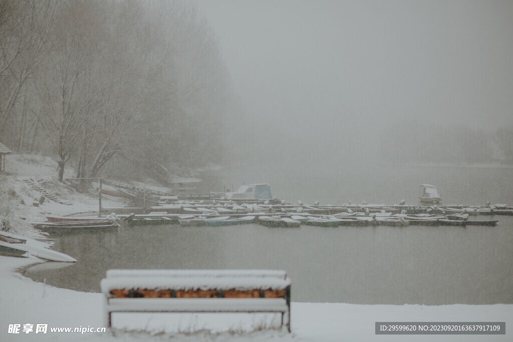 雪景