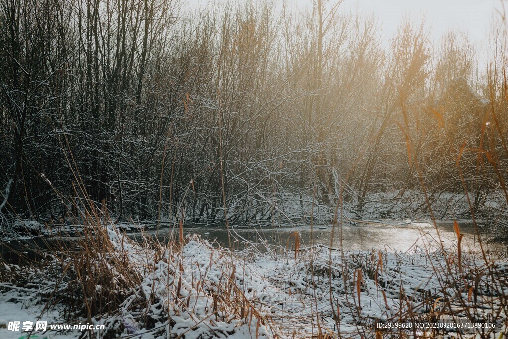 雪景