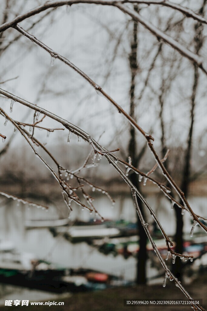 雪景