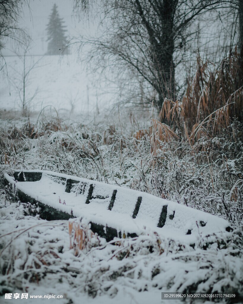 雪景