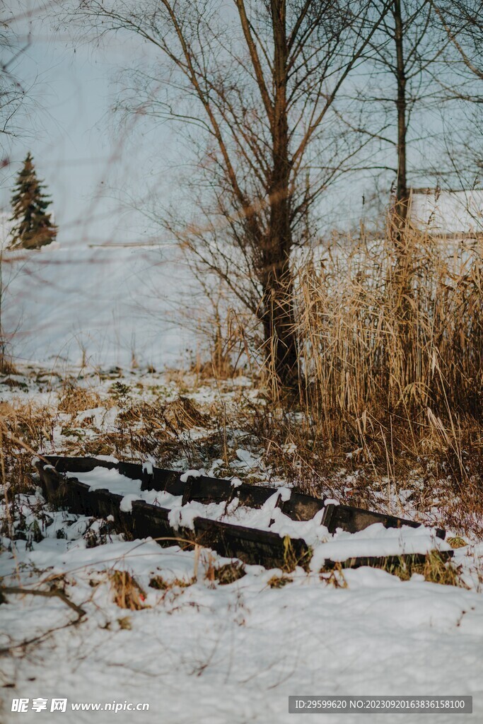 雪景