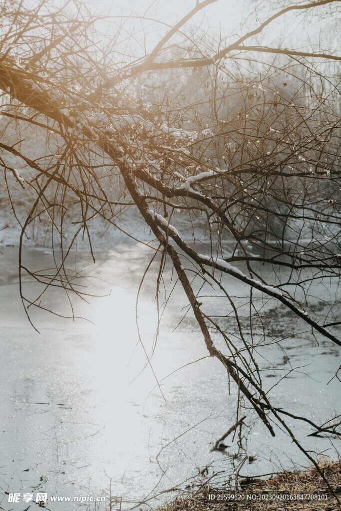 雪景