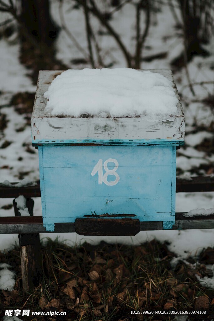 雪景