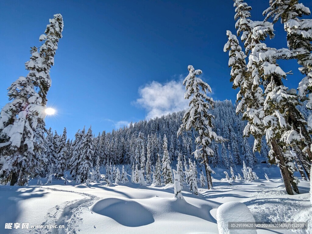 雪景