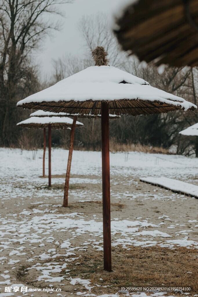 雪景