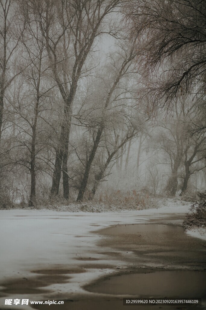 雪景