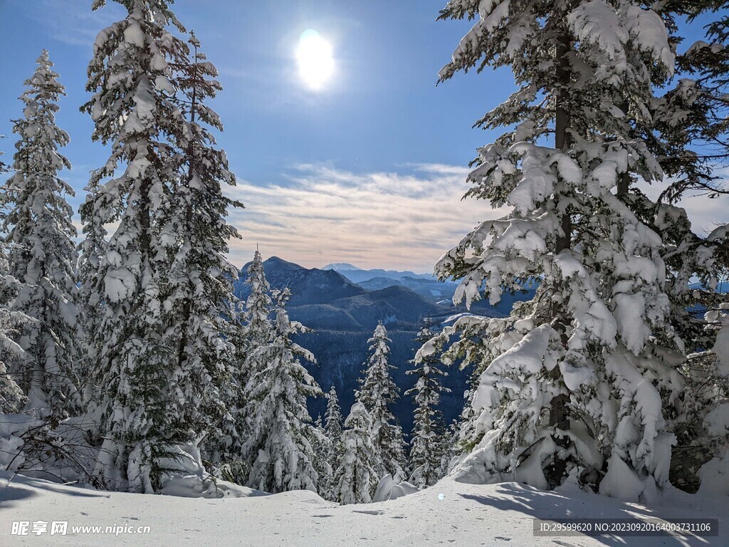 雪景