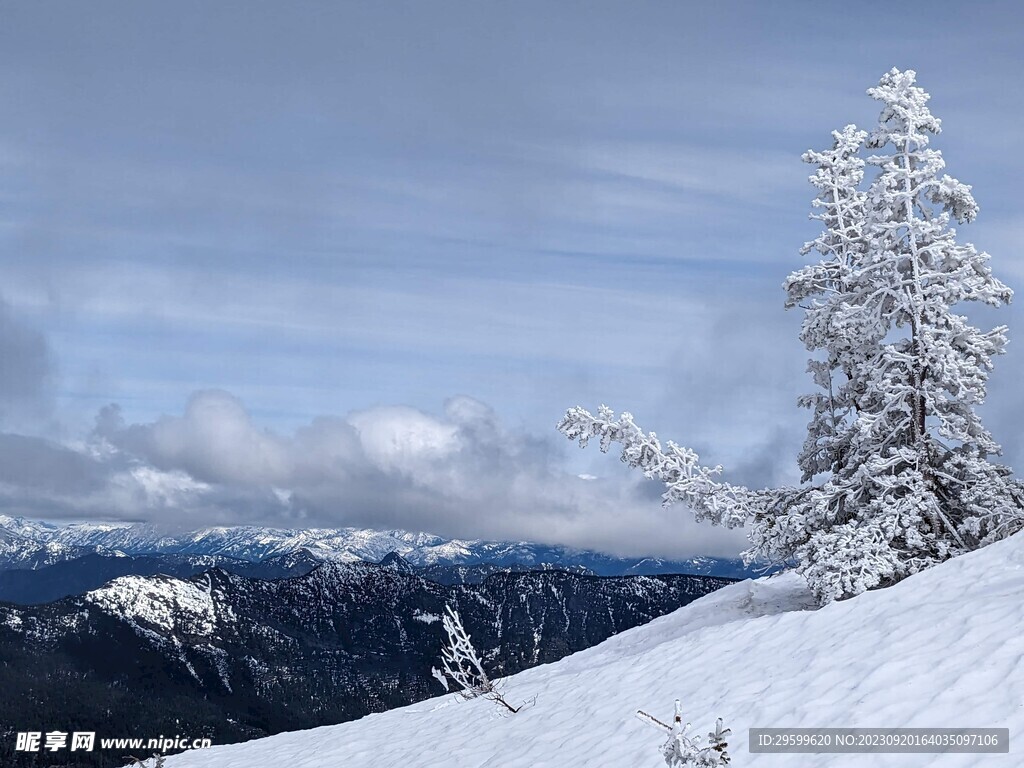 雪景