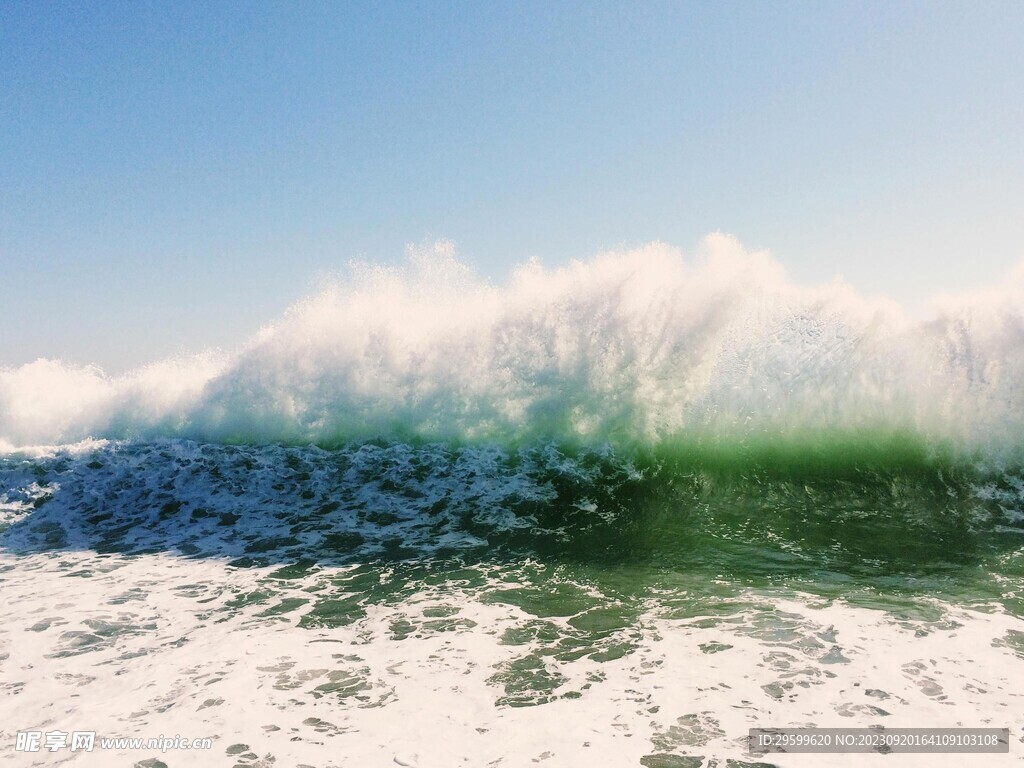 大海