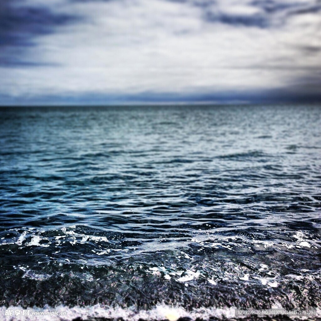 大海