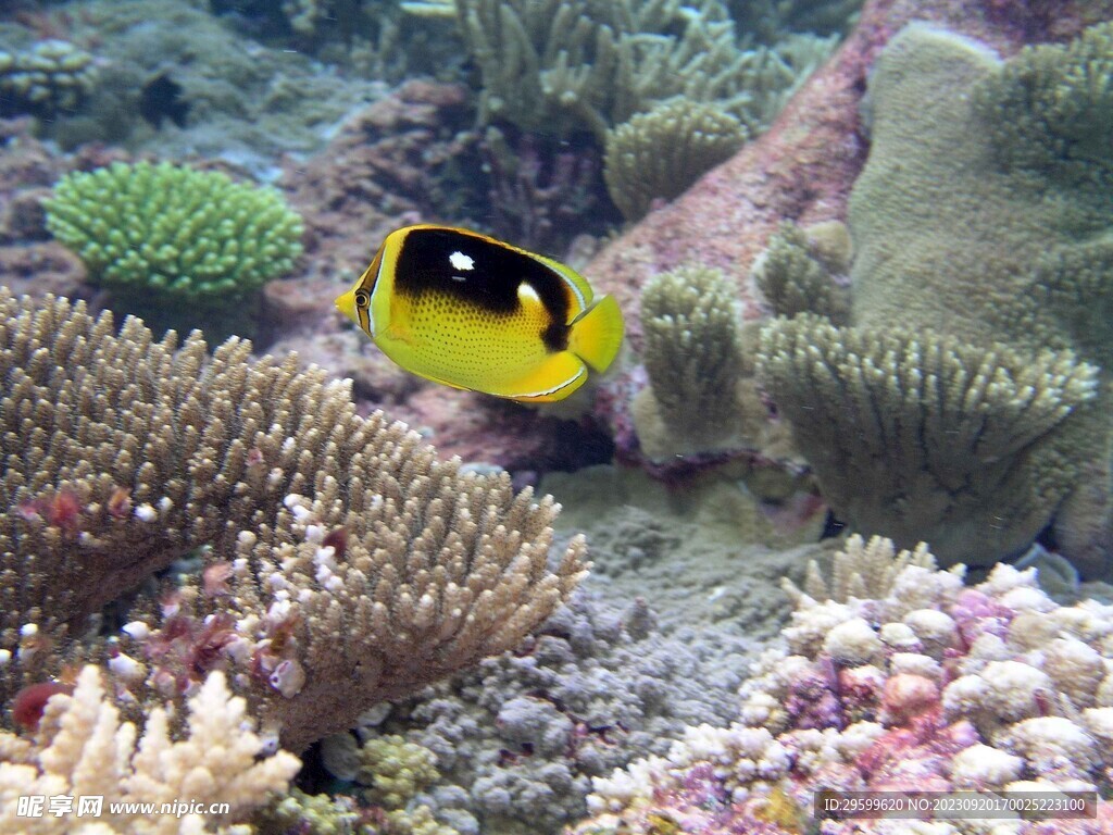 海底世界