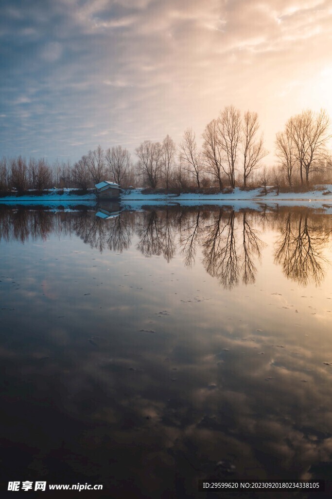 雪景