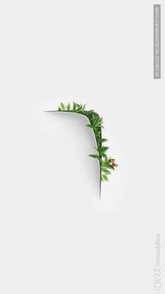 昆虫