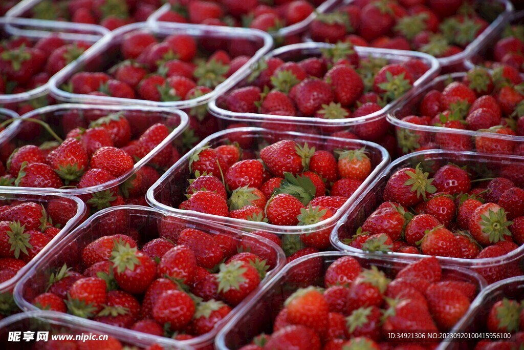 排放整齐的草莓出售