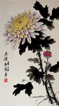 菊花，鸟，水墨，中国风