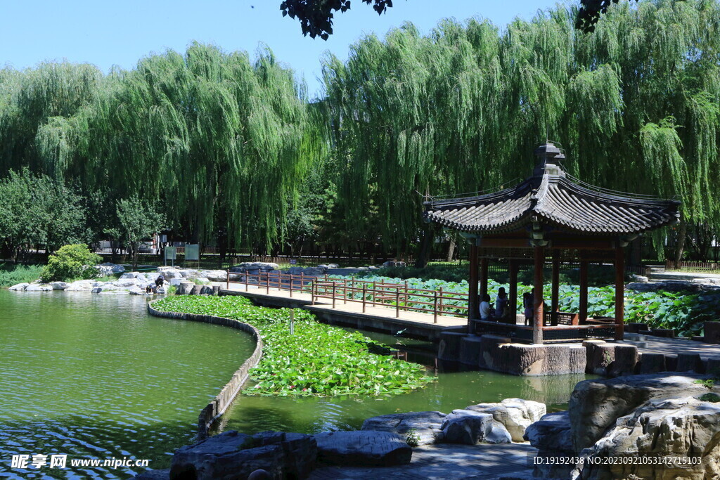 公园风景 