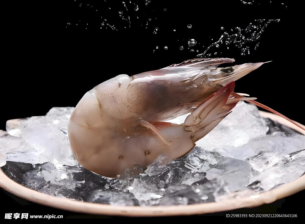 大对虾