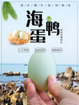 海鸭蛋
