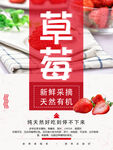 草莓