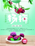 杨梅