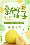 新鲜柚子
