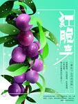 红脆李