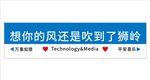 想你的风