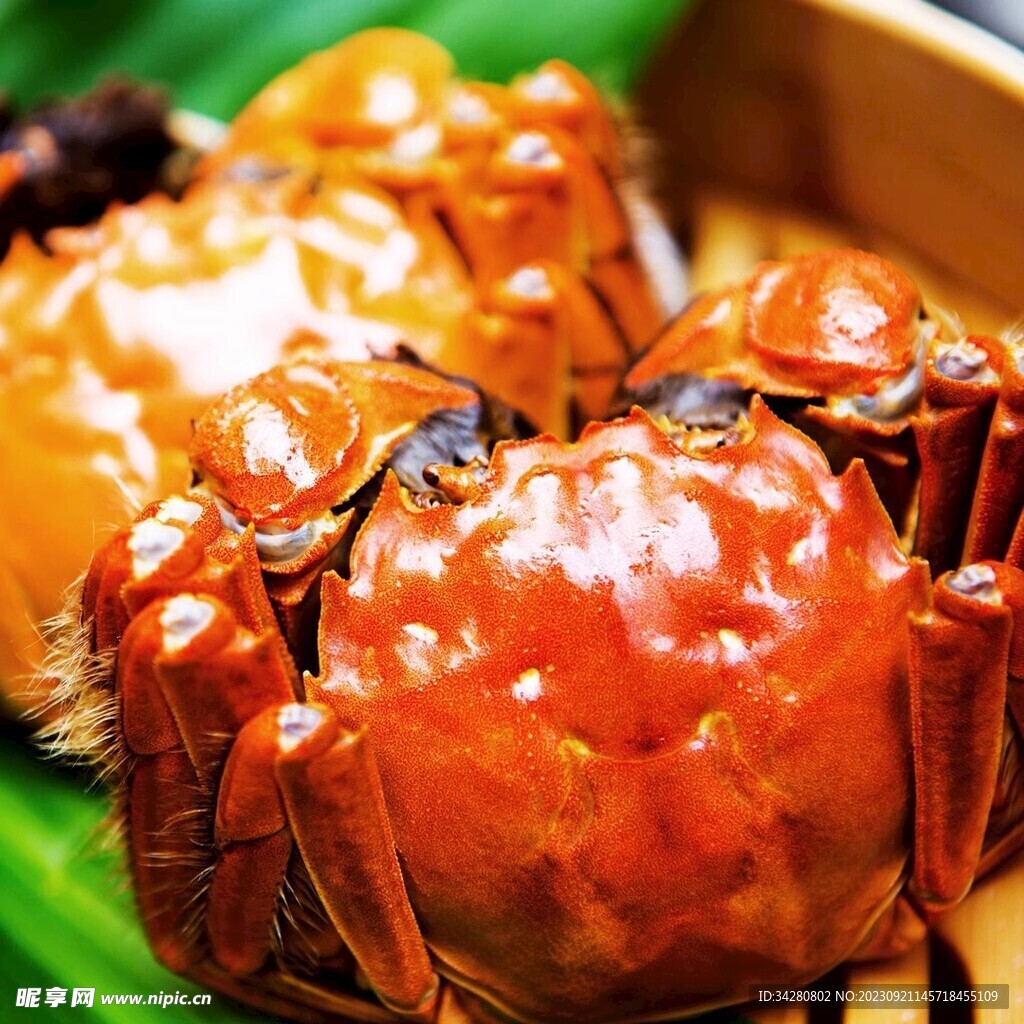 大闸蟹