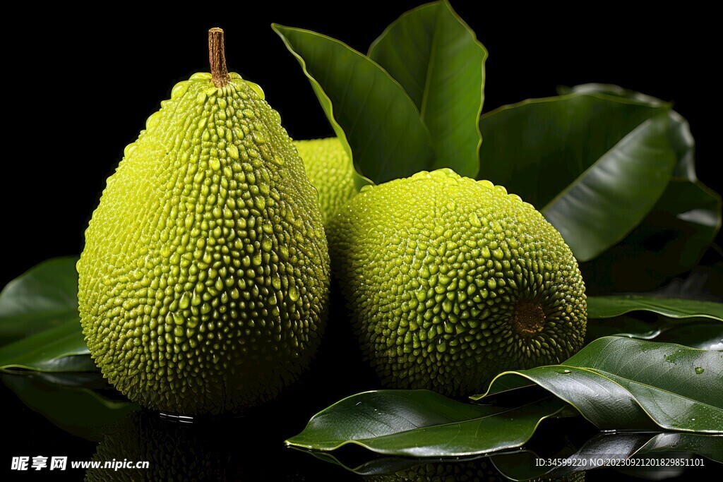 菠萝蜜 