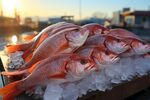 海鲜