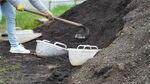 川贝母种植土壤