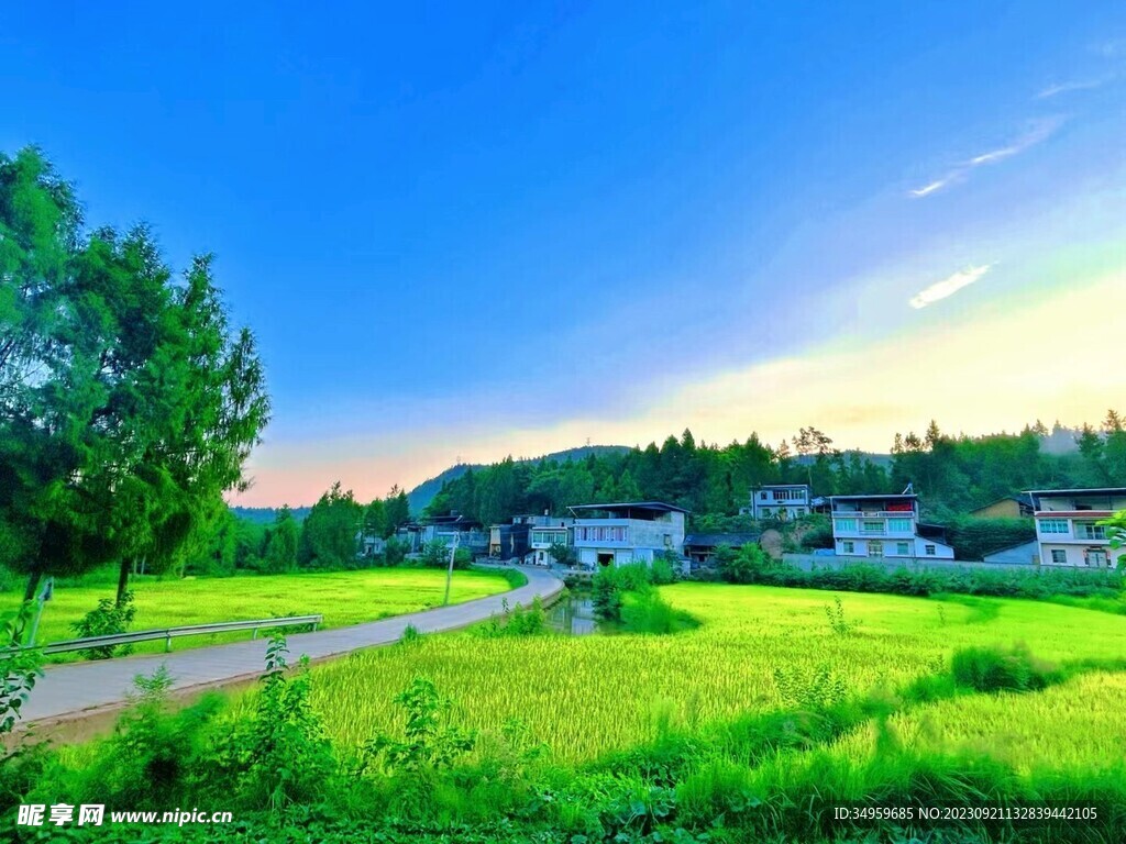 清晨绿色草地