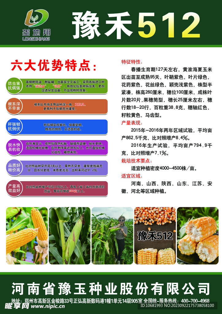 玉米种子
