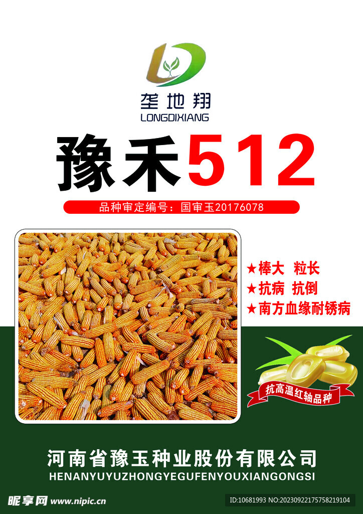玉米