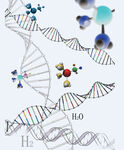 分子结构  