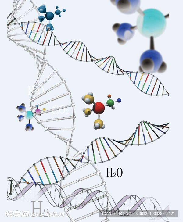 分子结构  