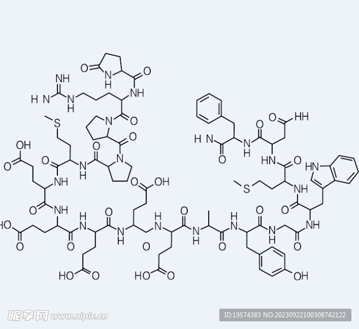 分子结构 