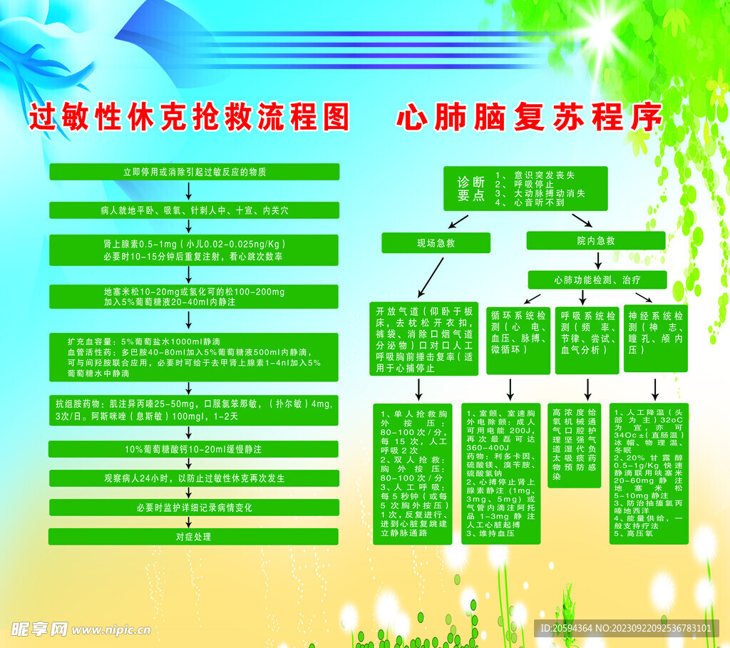 抢救流程