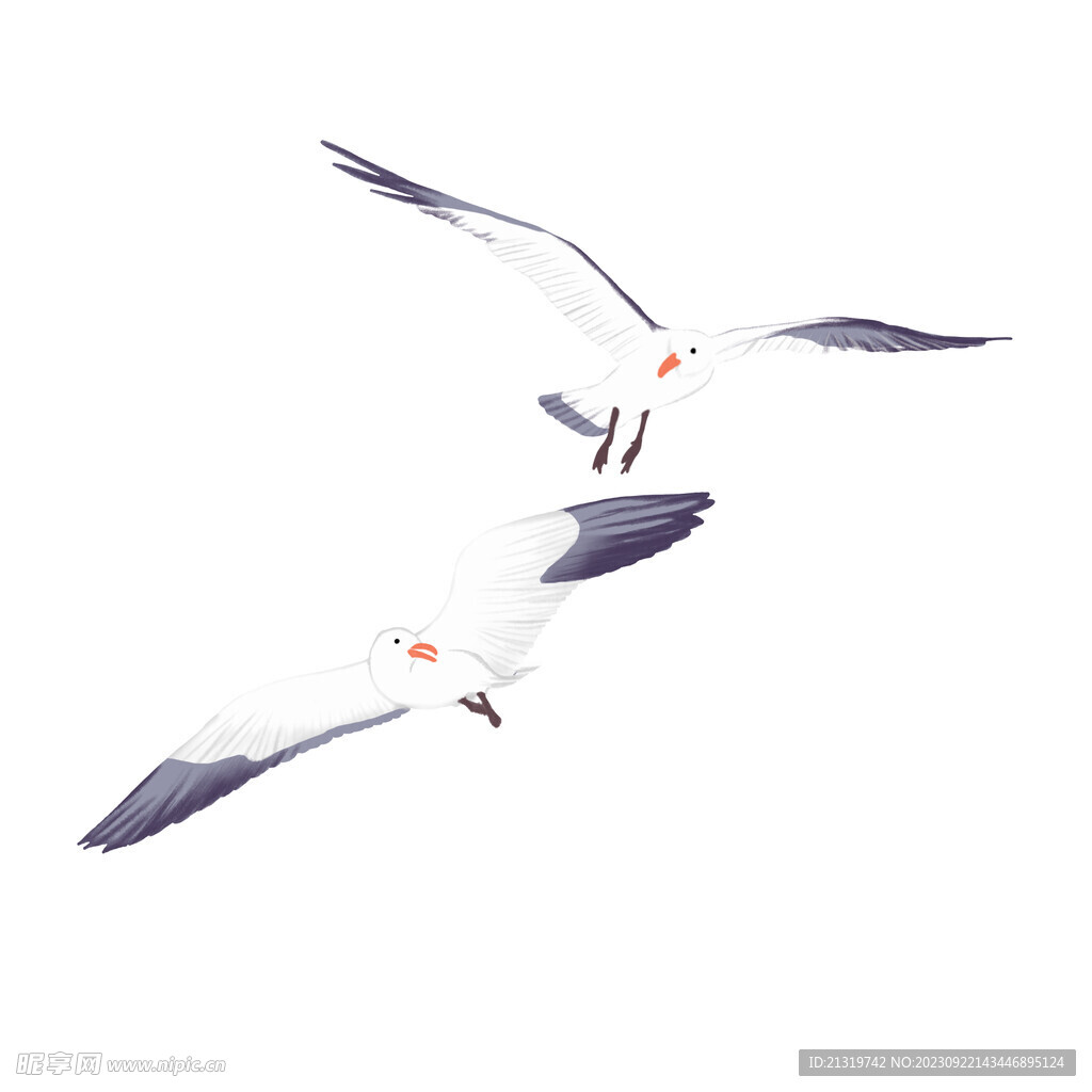 Cartoon Seagull Png Download, Flying Bird Clipart, Cartoon Animal, Bird ...