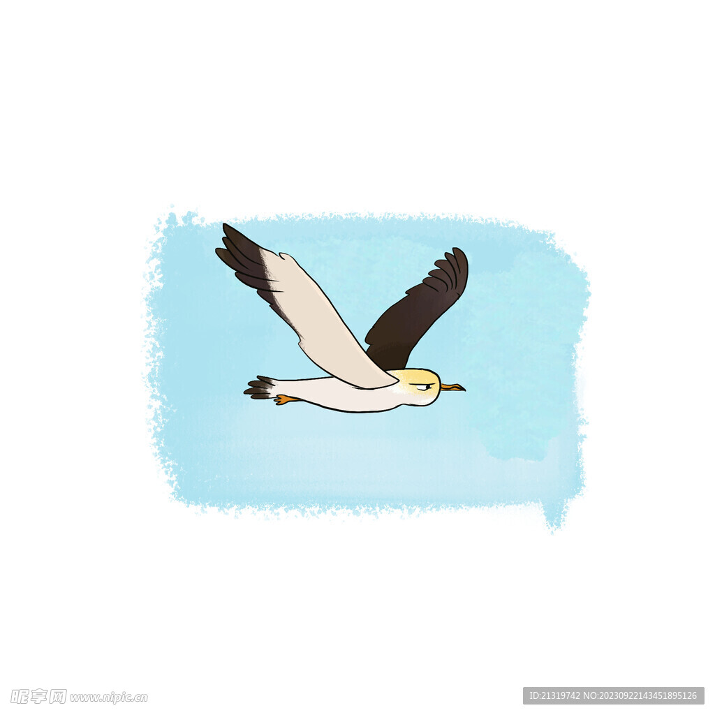 海鸥手绘插画
