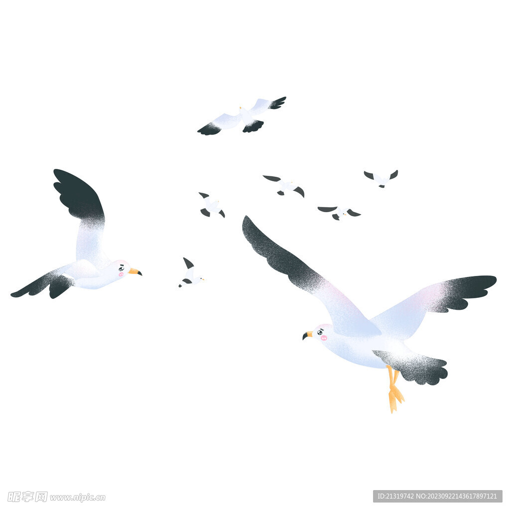 海鸥手绘插画