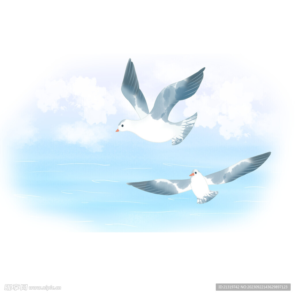 海鸥插画