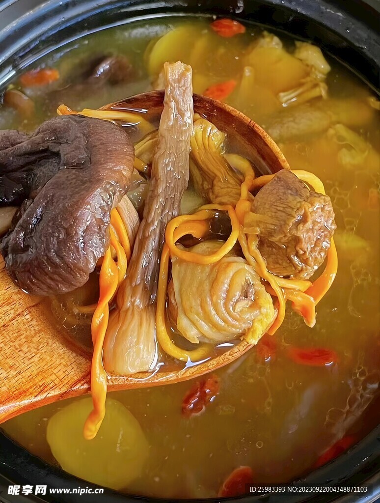 云南菌菇