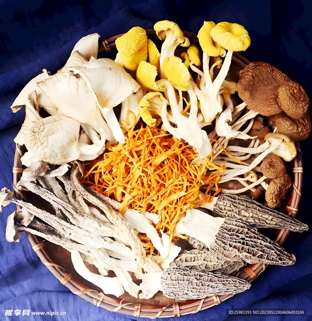 云南菌菇